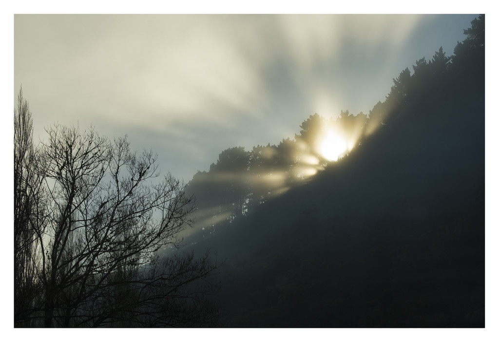 Sun and mist by dkbarnett