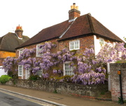13th May 2021 - Wisteria Cottage