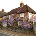 Wisteria Cottage by davemockford