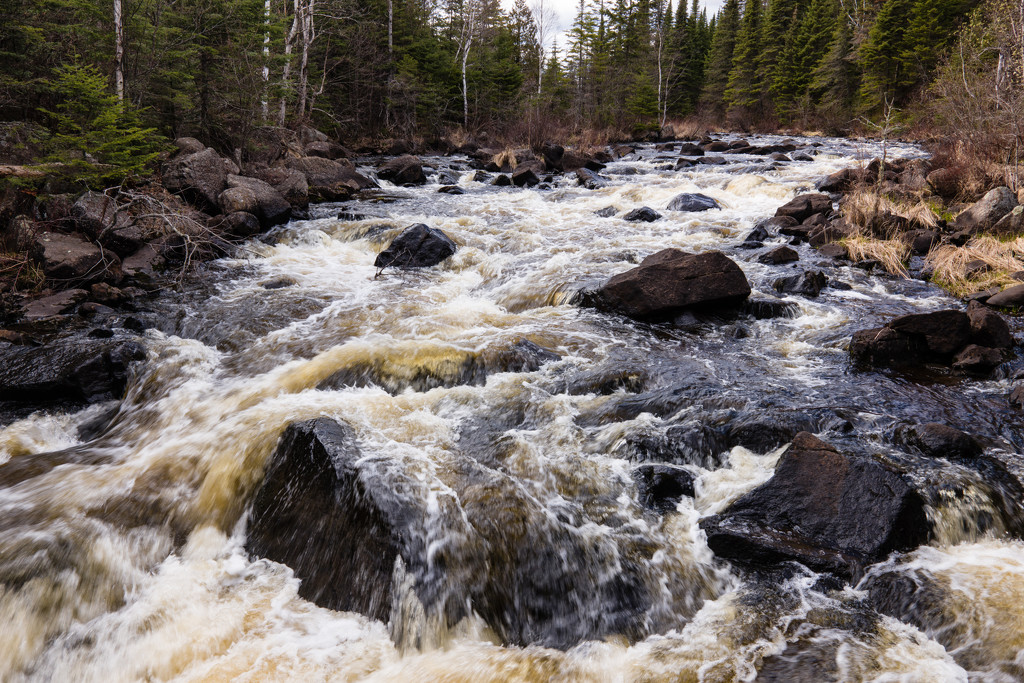 Poplar River by tosee