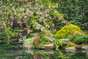 13th May 2021 - Japanese Gardens