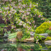 Japanese Gardens by kvphoto
