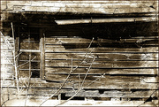 14th May 2021 - Broken and Weathered