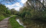 7th May 2021 - Today's canal walk