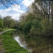 Today's canal walk by roachling