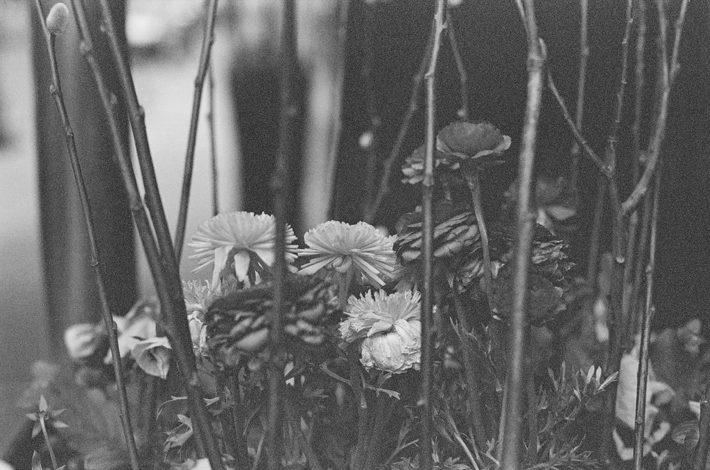 flower planter detail detroit by jackies365