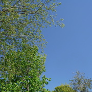 14th May 2021 - Green and Blue