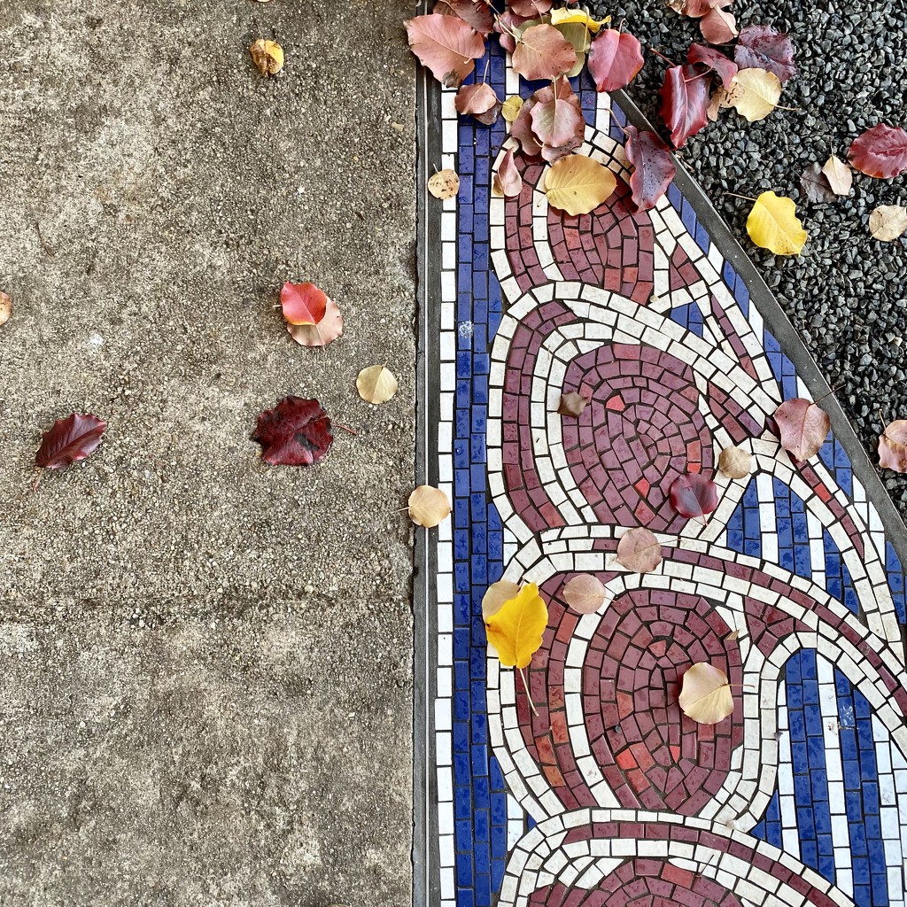 Autumn Mosaic  by nicolecampbell