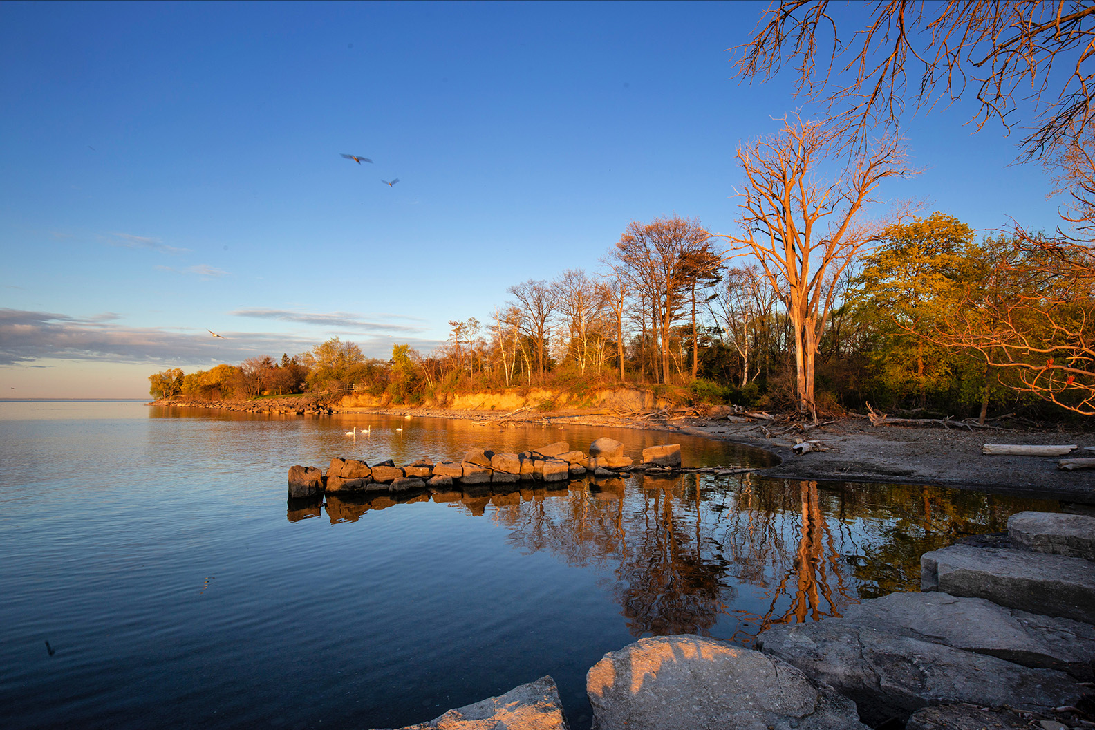 Lake Ontario Sunrise by Peter Dulis · 365 Project