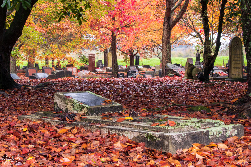 Autumn at the Cemetry by yorkshirekiwi