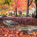 Autumn at the Cemetry by yorkshirekiwi