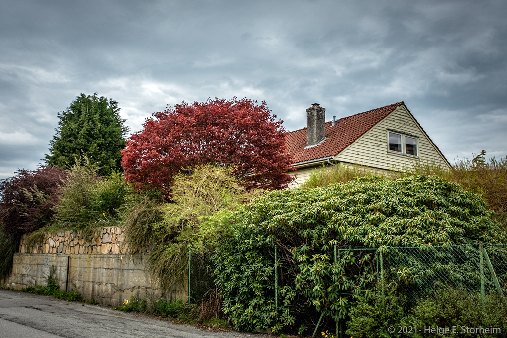 House and garden by helstor365