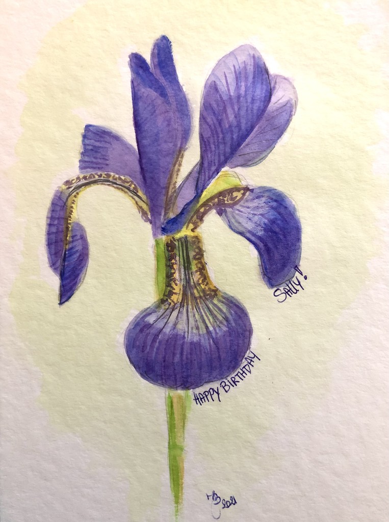 Birthday Iris by artsygang