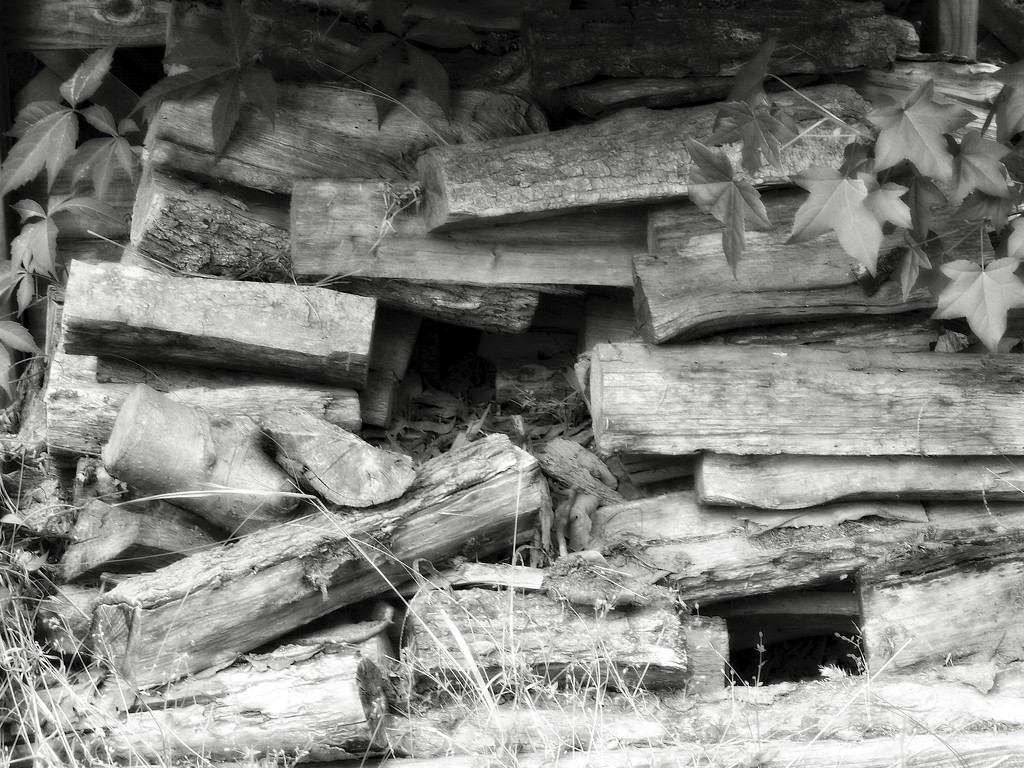 The old outdoor wood bin... by marlboromaam