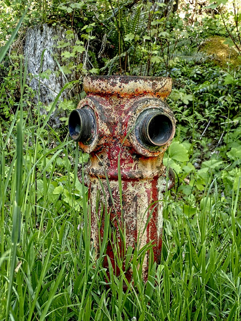 Old Fire Hydrant by mitchell304