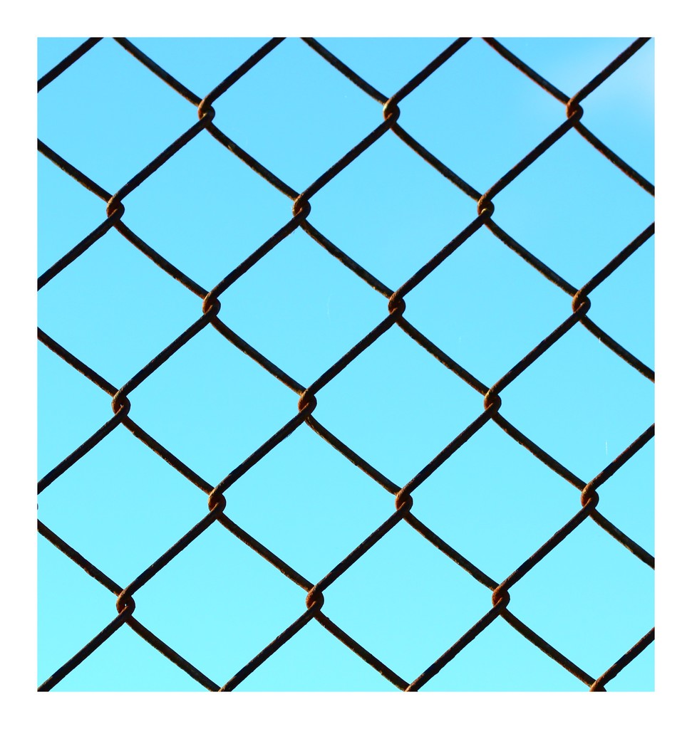 blue fence by wenbow