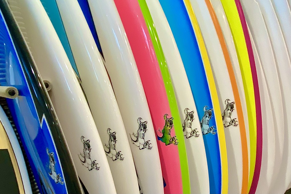 Charlie’s surfboard choices by johnfalconer