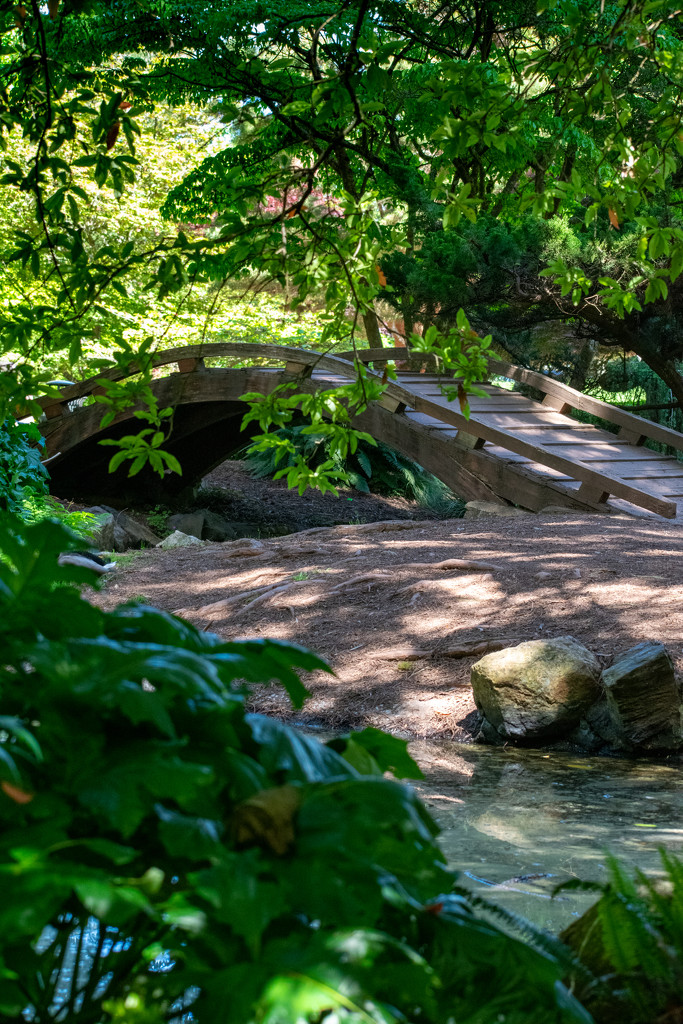 Foot bridge at Japanese Garden by theredcamera