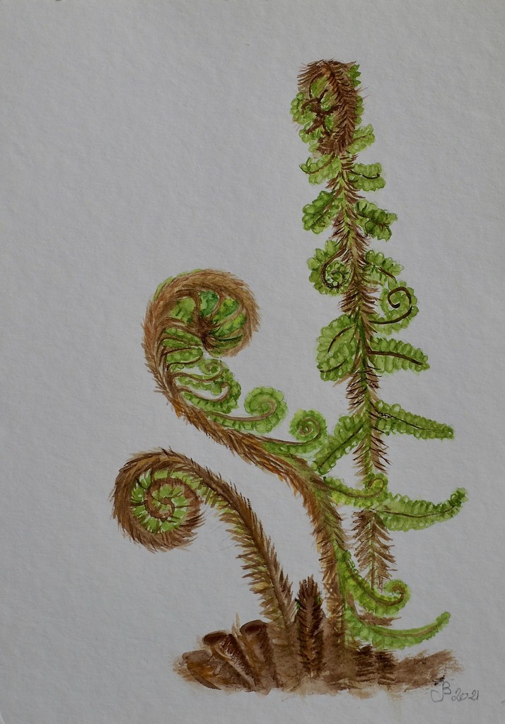 Ferns in watercolour  by artsygang
