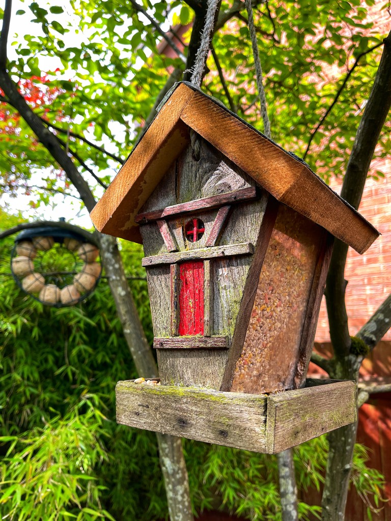 New roof on the bird feeder by tinley23