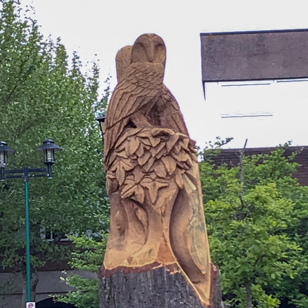 wood carving in progress by cam365pix