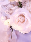 16th May 2021 - Wedding flowers