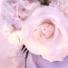 Wedding flowers by jb030958
