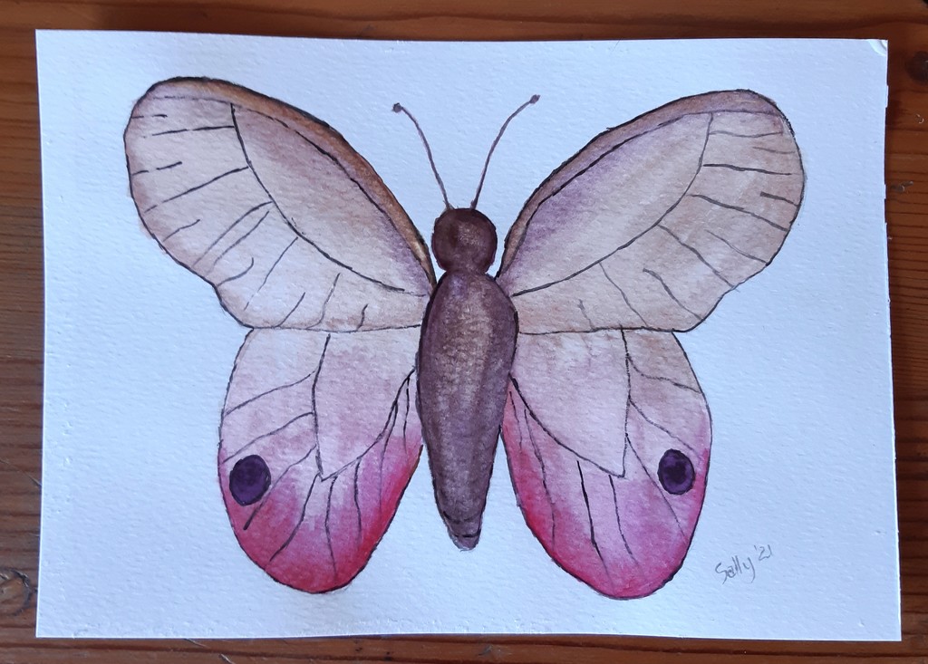 My Watercolour Butterfly  by artsygang