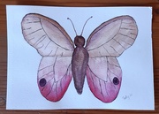 1st Apr 2021 - My Watercolour Butterfly 