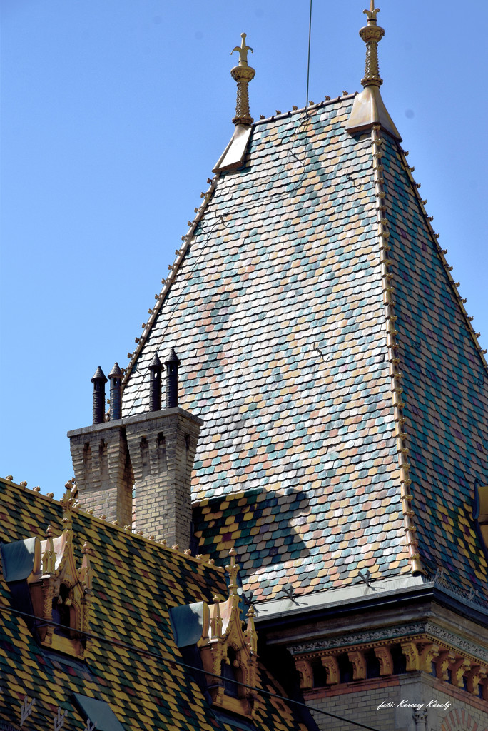 Ornate roof by kork