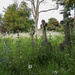 The churchyard at St Mary's, Merton by rumpelstiltskin