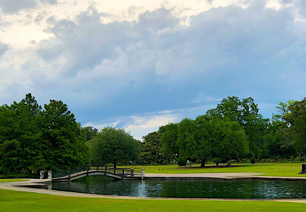 A peaceful afternoon at Hampton Park by congaree