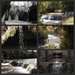 Falls collage by amyk