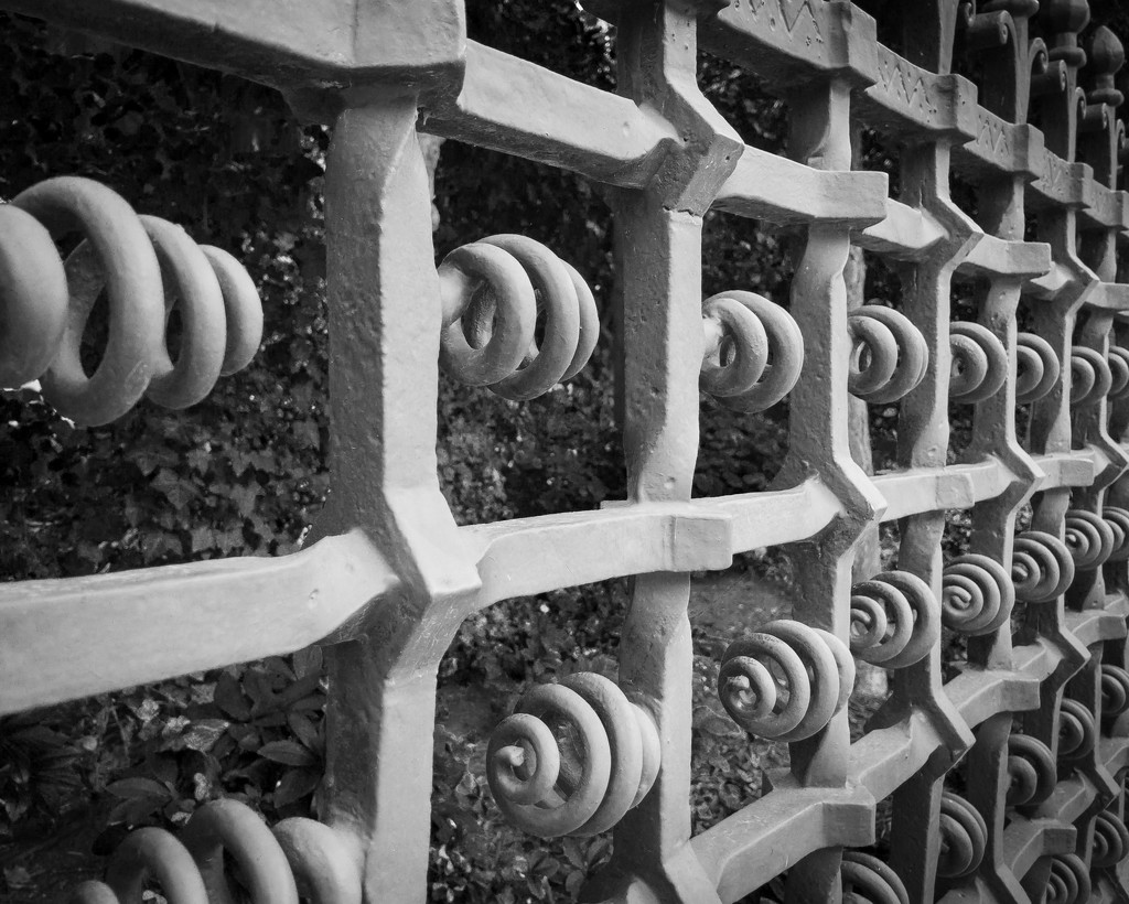 Spiral on the fence by pingu