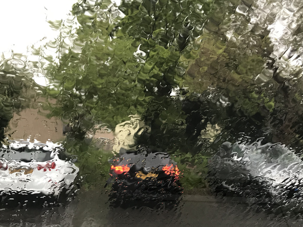 More rain by daffodill