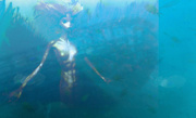 18th May 2021 - Under the Sea composite.