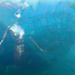 Under the Sea composite. by la_photographic