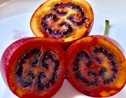 19th May 2021 - Tamarillos halved , can be used fresh on toast chutney cooked with meat a pretty versatile fruit
