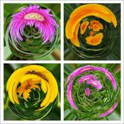 19th May 2021 - Flowers in a Spin 
