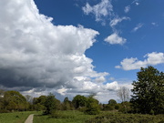 18th May 2021 - Mixed Weather