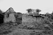 19th May 2021 - Top Field Barn 1