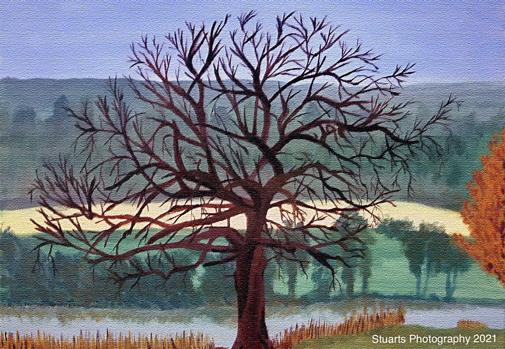 The barren tree (painting) by stuart46