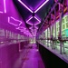 Victoria neon by boxplayer