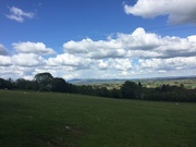 19th May 2021 - View from Bircher Common