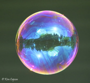 17th May 2021 - Bubble Reflections