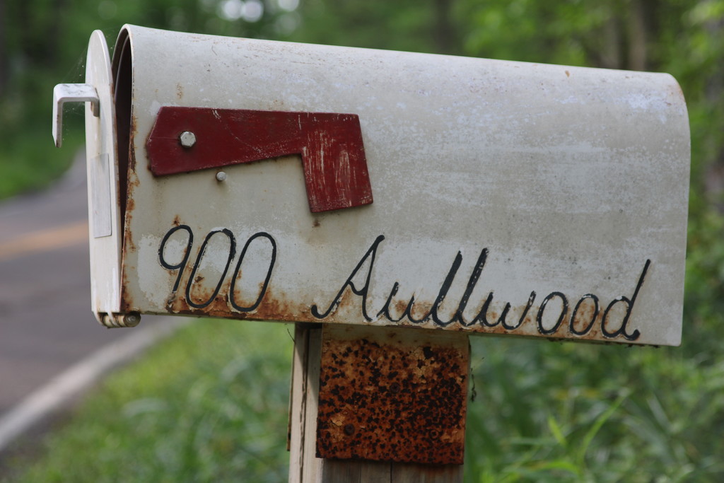 Mailbox  by bernicrumb