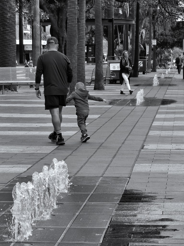 600m (nearly 1/2 mile) of water fountain on the Corso, Manly by johnfalconer