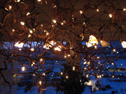 8th Jan 2010 - Decorative lights