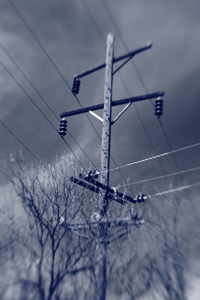 Old Electric Pole by blueberry1222