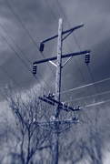 20th May 2021 - Old Electric Pole